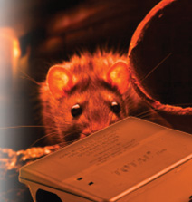 Rodonticides