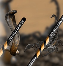 Rodonticides