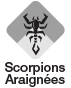 Araignées