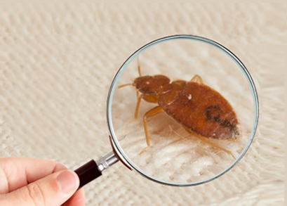 Identification