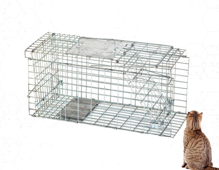 CAGE CHAT